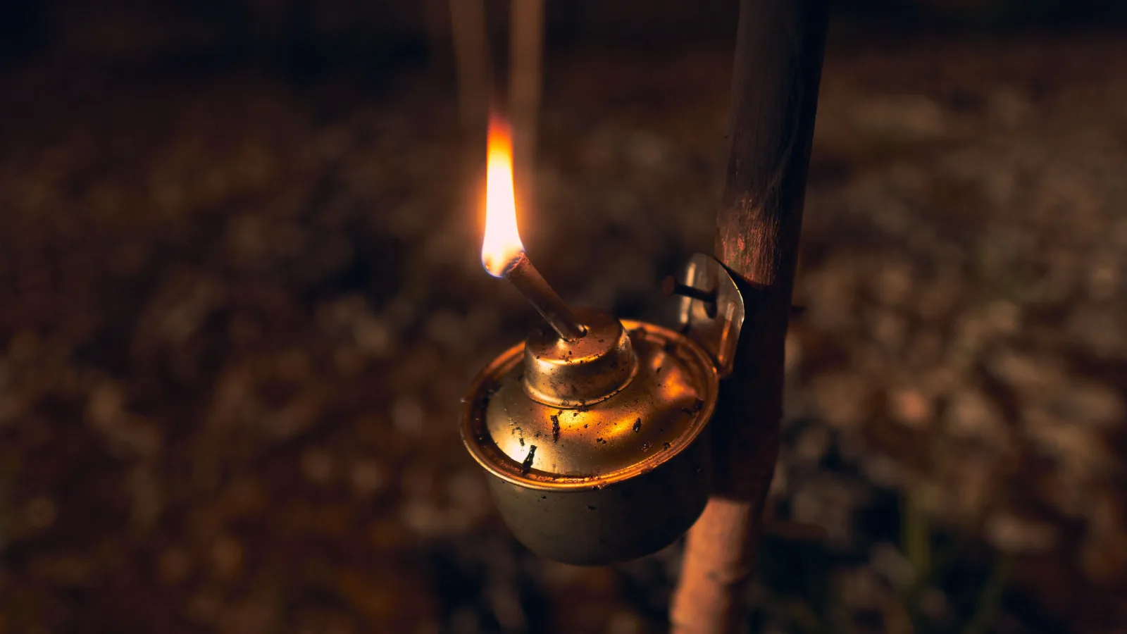 Stromausfälle, Stürme und die Generatorfrage: Wie ein Haus bei rauem Wetter weiterläuft