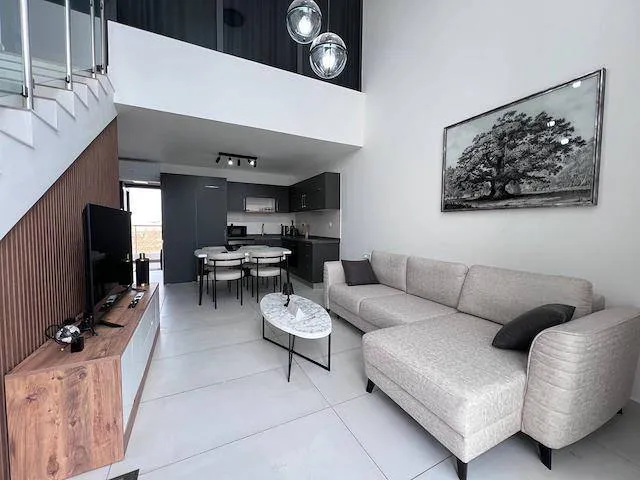 Moebliertes Loft Penthouse mit grosser Terrasse, Ansicht 2